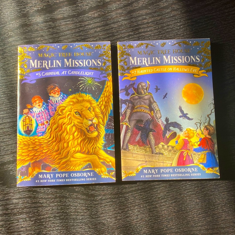 🛍️Set of 2 Magic Tree House books